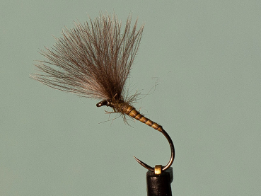 Quill Shuttlecock Olive #16